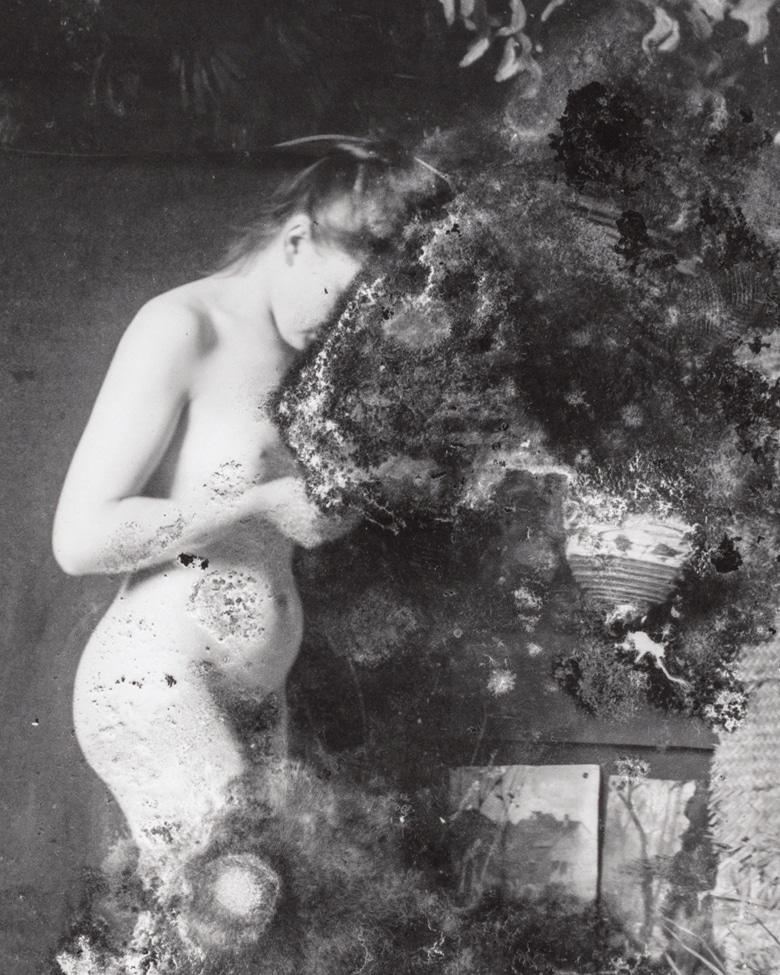 blackprint edition Limited Edition black and white nude photographs and original glass negative