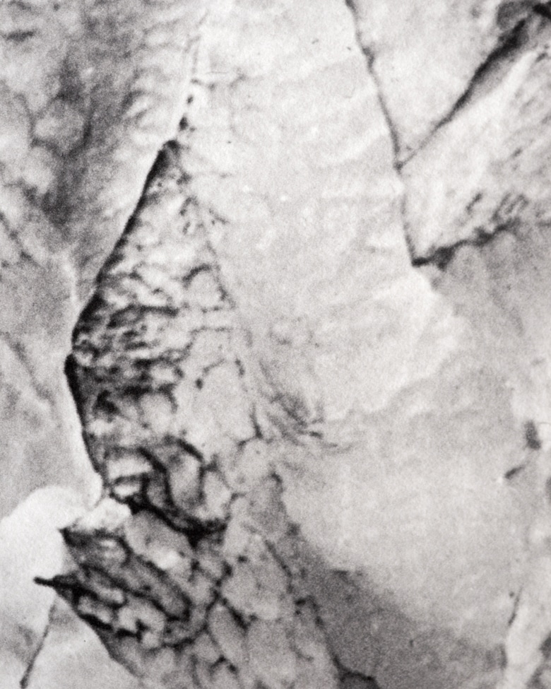 blackprint_edition_karo01-002G blackprint edition - karo edition Nr.02, antique stereoview photography on glass of the Buerbreen Glacier - Buerbreane - Buarbreen, Norway 1885