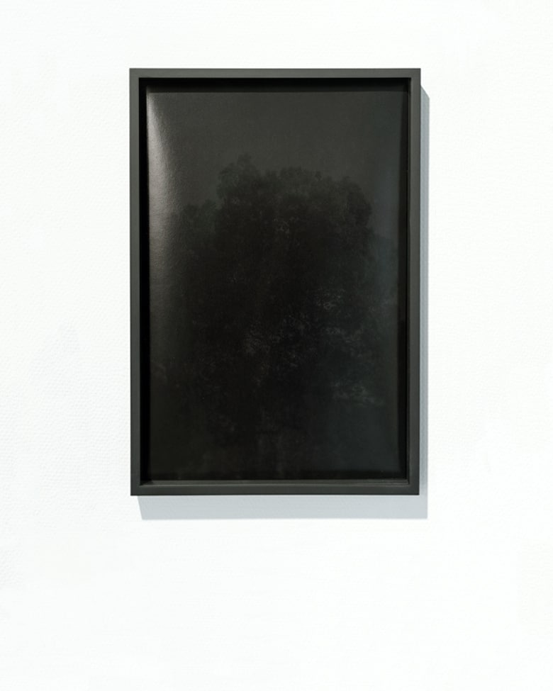 blackprint edition Limited Artist Edition featuring Alexander Sporre -