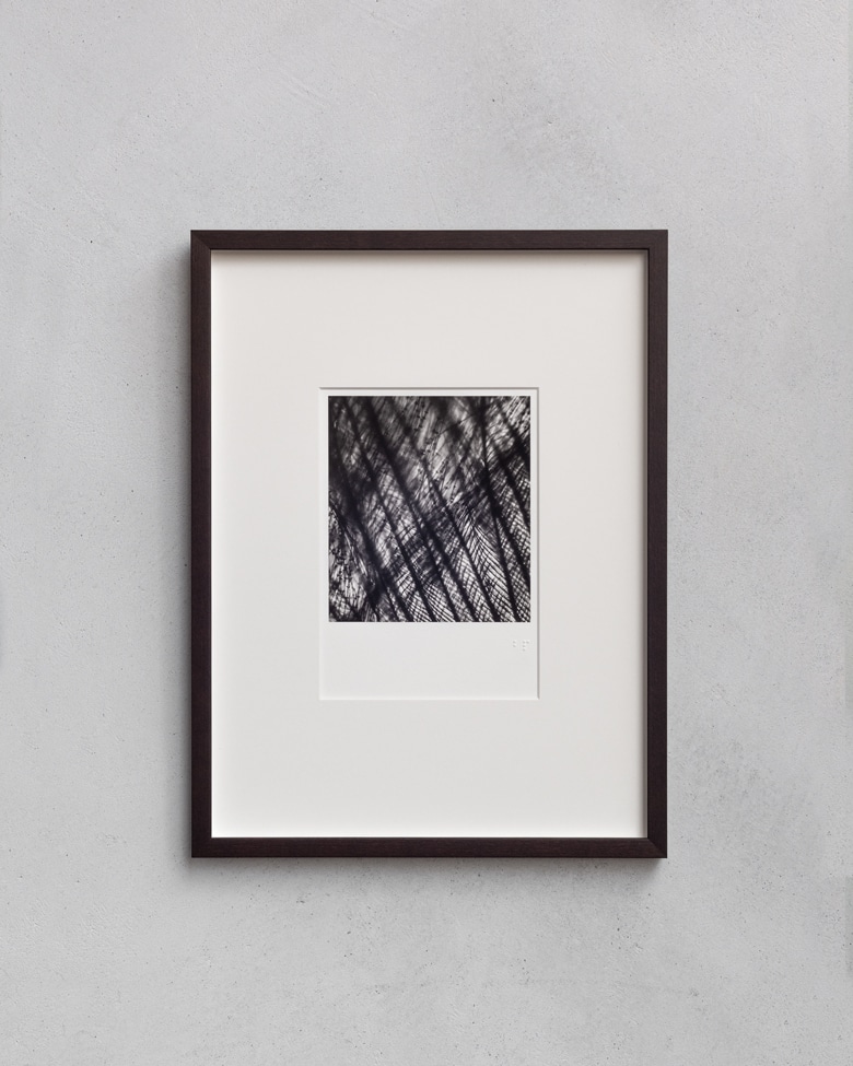 blackprint edition - Die Grüss Limited edition, microphotographs of feather. Artist: WONOW