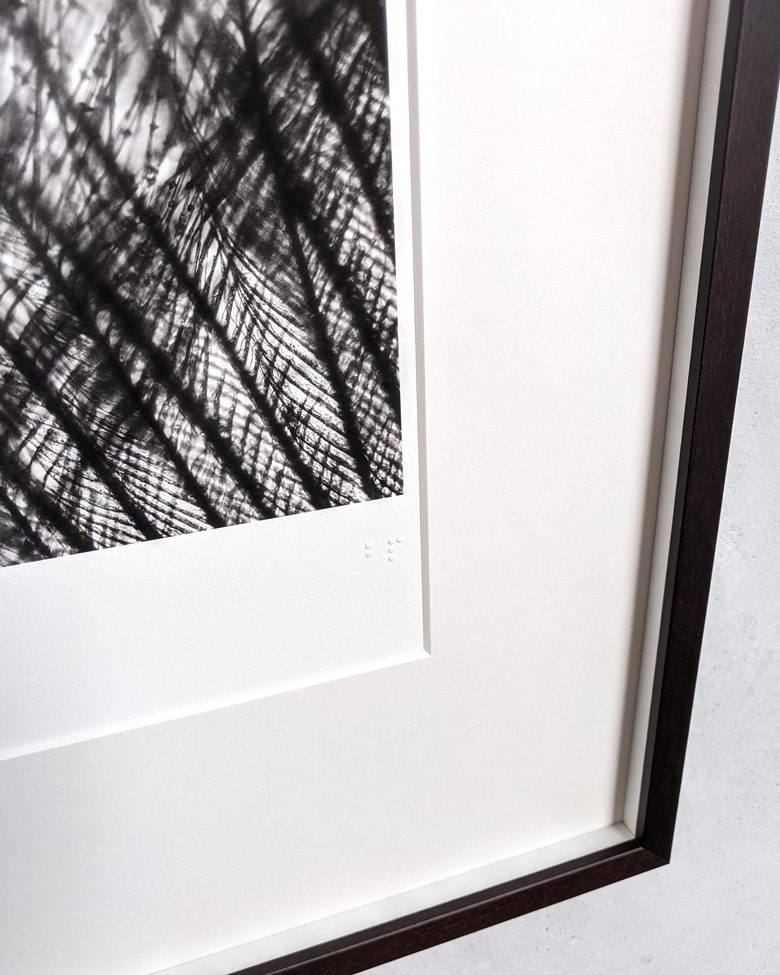 blackprint edition - Die Grüss Limited edition, microphotographs of feather. Artist: WONOW