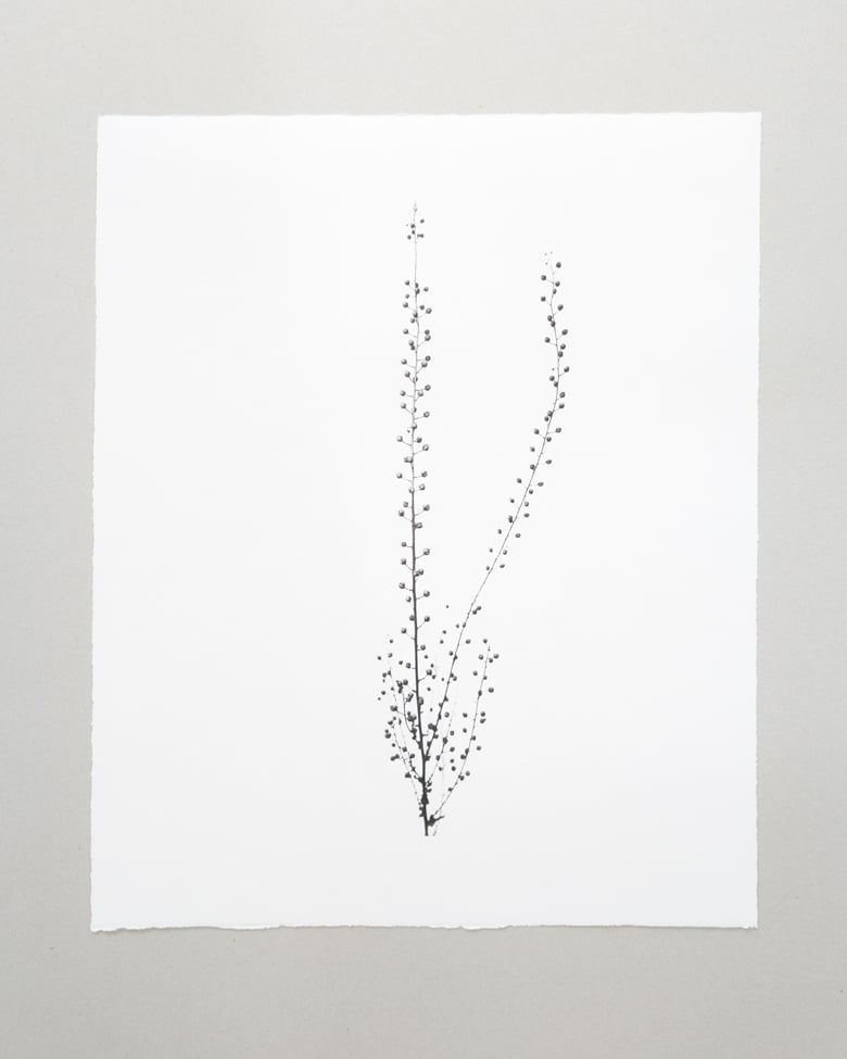 blackprint_edition_KM-Gareis_Finkensame_03 blackprint edition Limited Artist Edition featuring Klaus-Martin Gareis - "Finkensame"