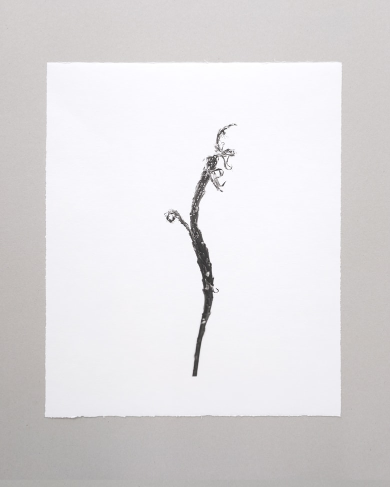 blackprint_edition_Klaus_Martin-Gareis-Drachenweide-03 blackprint edition Limited Artist Edition featuring Klaus-Martin Gareis - "Drachenweide"