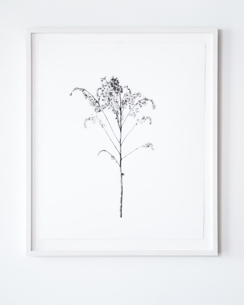 blackprint edition Limited Artist Edition featuring Klaus-Martin Gareis -