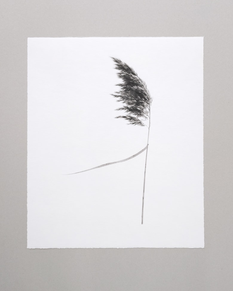 blackprint_edition_Klaus_Martin-Gareis-Schilfrohr-03 blackprint edition Limited Artist Edition featuring Klaus-Martin Gareis - "Schilfrohr"