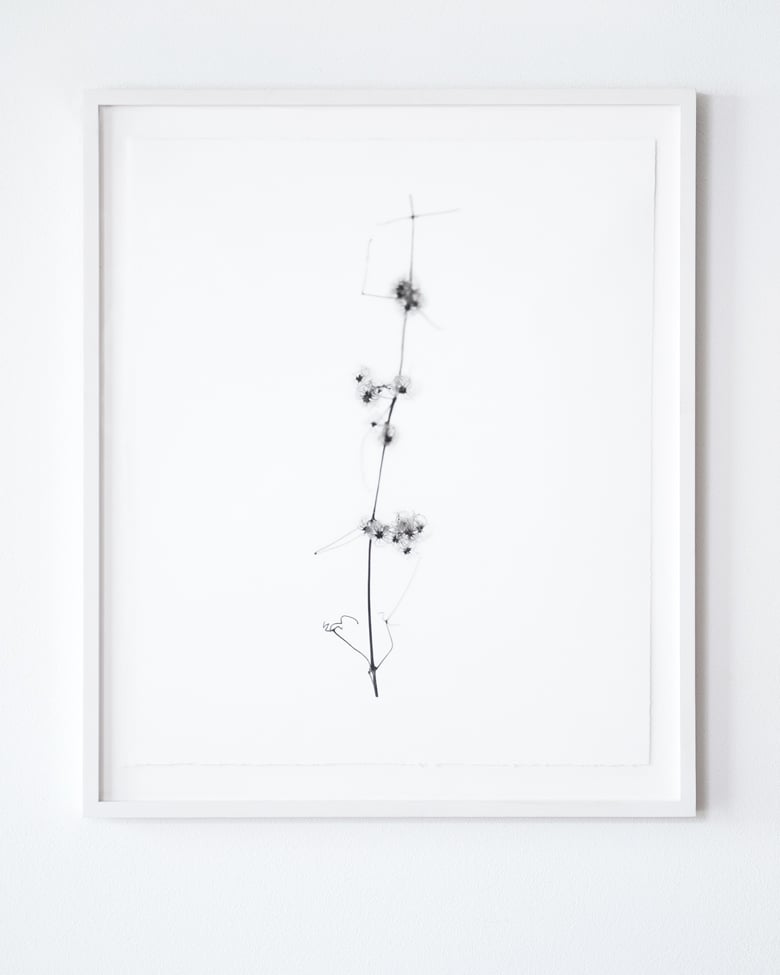 blackprint_edition_Klaus_Martin-Gareis-Waldrebe-01 blackprint edition Limited Artist Edition featuring Klaus-Martin Gareis - "Waldrebe" with frame