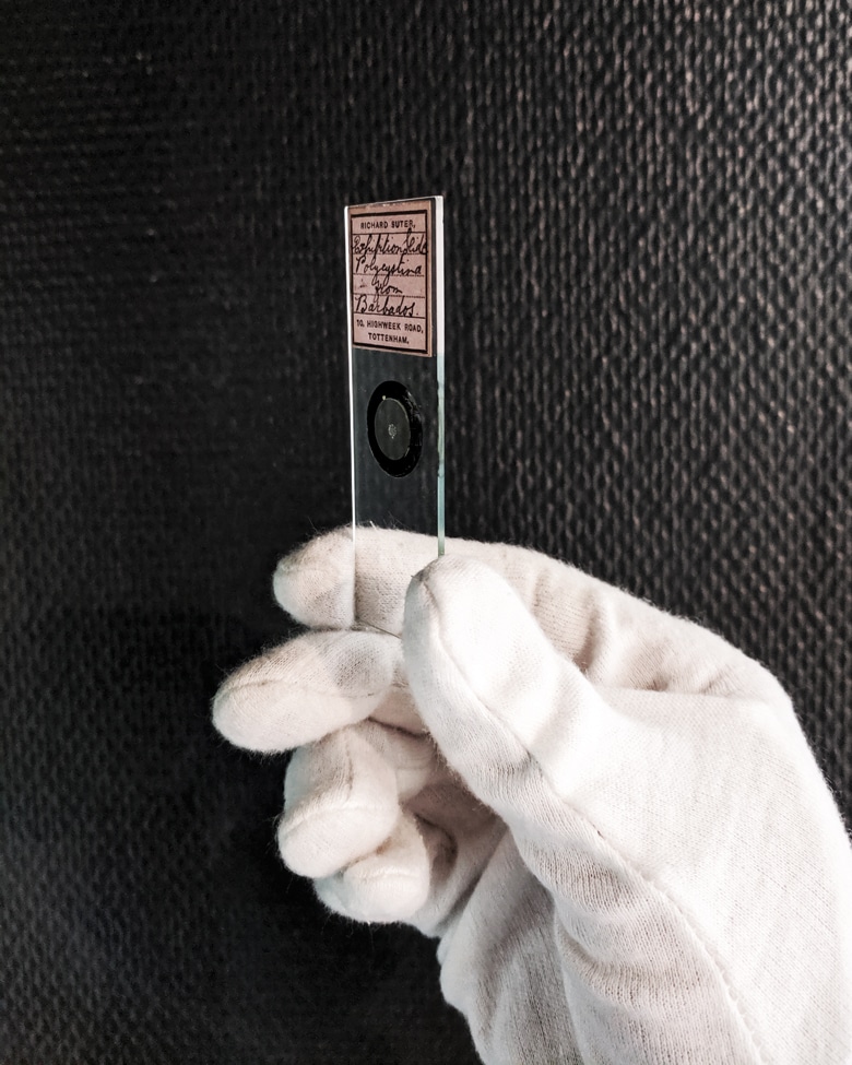 blackprint_edition_karo02-011B2