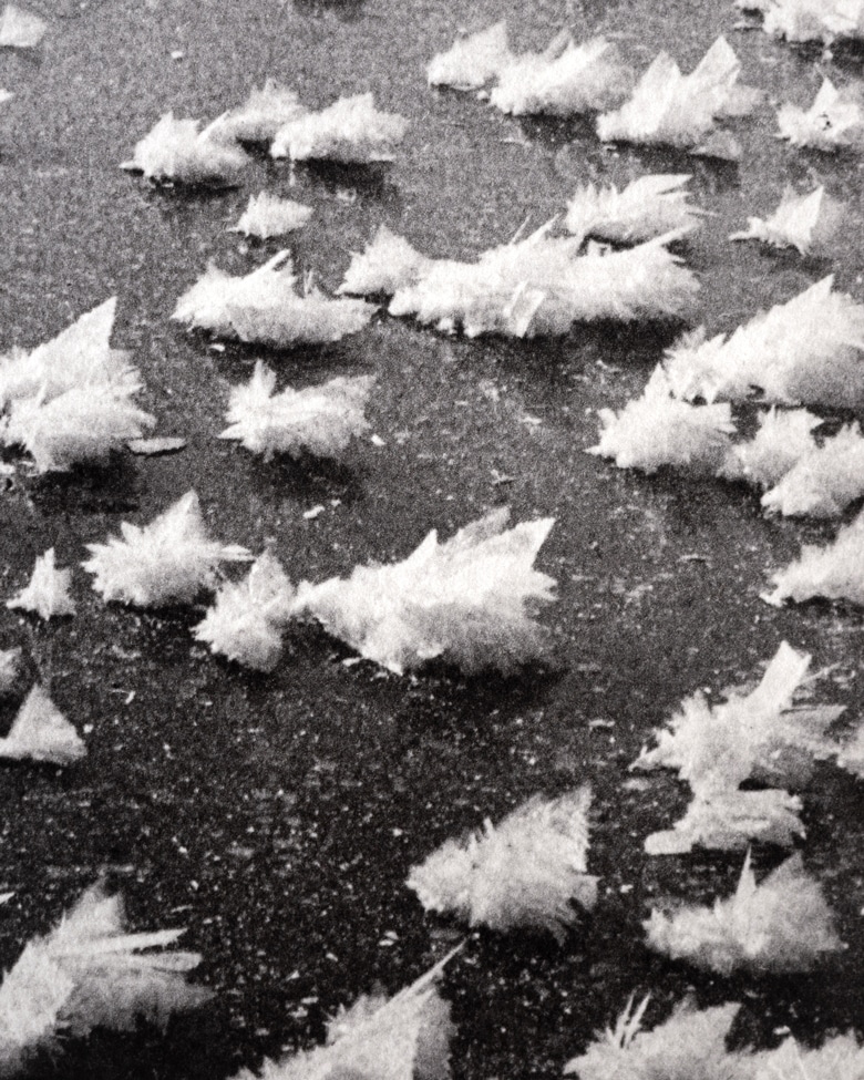 blackprint_edition_karo02-017D blackprint edition - karo edition Nr.017, antique glass photography of Ice flowers in St.Moritz 1890