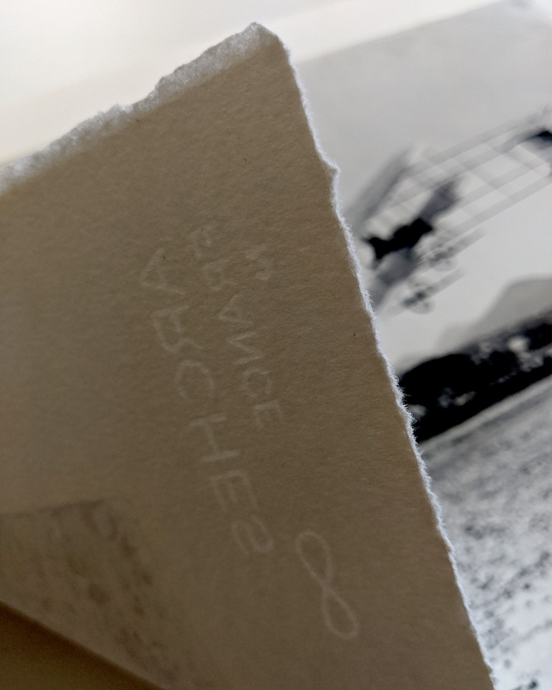 blackprint_edition_airplane1-1910-001F blackprint edition - Farman biplane 1 ca.1909, Limited edition numbered - detail