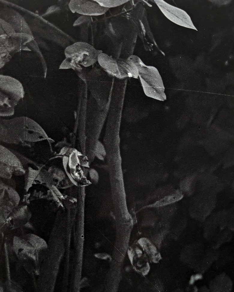 blackprint_edition_limited-nu_au_miroir_de_barbier-03B blackprint edition limited nu au miroir de barbier - detail 01